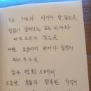 태양여행사주