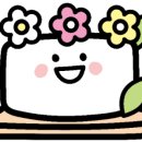 희소담 이미지
