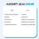 ＜정규코스＞2026년 Basic Lumbo-Pelvic girdle &amp; Intermediate Lumbar Spine 이미지