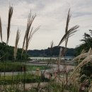 해바라기유치원 이미지