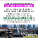 속편한 강상구 내과의원 네이버블로그