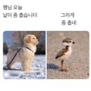 제일김밥 이미지