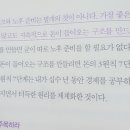 엘엔에스컨설팅