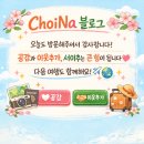 카파도키아에서 이스탄불로, 아야 소피아와 그랜드 바자르까지 튀르기예 여행 3일차