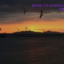 비즈레지던스 이미지