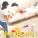 태리교대 이미지