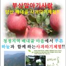 양산배내골 사과정보화마을 이미지