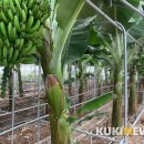 삼척시농업기술센터(원덕) 이미지