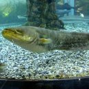 간전중앙로 이미지