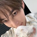 내강아지 이미지