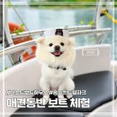 이스트하우스 | 송도 애견동반 가볼만한곳 | 이스트보트하우스 후기