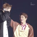 곰도리 이미지