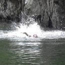 우창농장 이미지