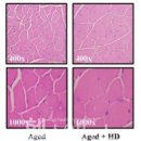 현대동물약품 이미지