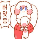 바디라이프 이미지