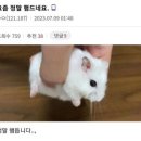 이앤박 이미지