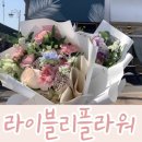 라이블리플라워