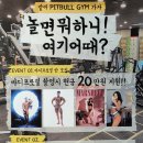 PITBULL GYM 이미지