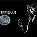 ▒ 영국 헤비메탈 그룹 화이트스네이크 (Whitesnake)에 대하여.. 이미지