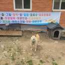 완주소양캠핑장 이미지