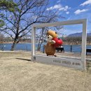 호암생태공원(장미원) 이미지