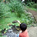 자연속으로 이미지