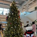 149 | 월하리 149 카페 내돈내산 후기, 기대가 컸던 만큼 아쉬웠던 이유