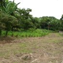 두솔농장 이미지