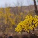 나무고아원 이미지