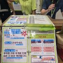 비상구라이브 | 필리핀 보홀 항공권 예약 진에어 '일반석 보다 비상구 좌석이 좋아!'