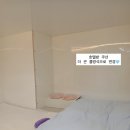 🤍🫧인천 서구청 연희동 반려견 미용실 화이트 베베 내돈내산 후기🫧🤍