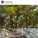 1. 베뉴(웨딩홀) 예약: 서울에서 대관비 50만원 야외결혼식장? (+25년 견적 공유)