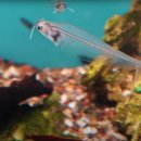 투비메드 이미지