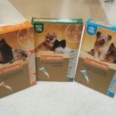 홈플러스준약국 이미지