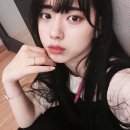 신세휘 카카오 검색결과