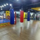 성산복싱체육관 이미지