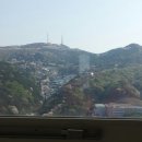 진해벚꽃공인중개사사무소 이미지