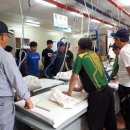 문정세탁 이미지