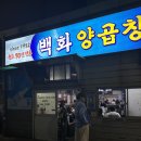 부산 백화양곱창 남포동 노포 맛집 9호점 (웨이팅, 주차)