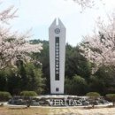 NO.1 자동차피부과 이미지