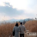 아리아리의일상 2월 / 아웃백 / 설연휴 / 집밥 / 입체초음파 / 미용실 / 외식 / 만삭촬영 / 태교여행