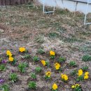 밀독(MILLDOG) 이미지