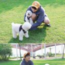 산들 강아지 네이버블로그