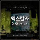 칼라클럽 | 소극장 엑스칼라 XSCALA 1층 N열 17번 후기 소극장 콘서트 후기