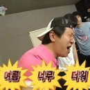 크레이지독스짐 이미지