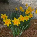 함평군농업기술센터 | 함평군농업기술센터 함소카페 맛집