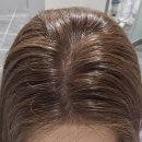 라퍼스트 | 수원 곡반정동 라퍼스트 뿌리염색 시영 실장 후기 바이더헤어 솔직후기 뿌염 주기 추천