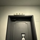 독막로20길 42 | 서울 갤러리 트렌디한 미술관 탈영역우정국 <이중:작동:세계:나무> 관람 후기