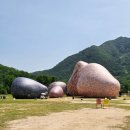 주말 나들이 추천! 한탄강 Y자 출렁다리 방문 후기