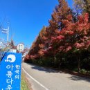 아름다운길